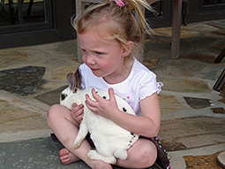 Little blonde girl with white bunny in her lap