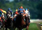 Derby Day at The Stables